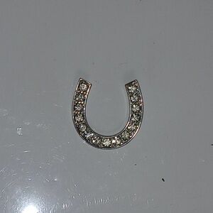 Silver Horseshoe Pendant with Crystals